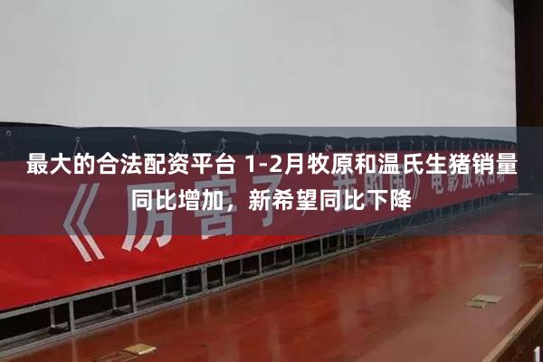 最大的合法配资平台 1-2月牧原和温氏生猪销量同比增加，新希