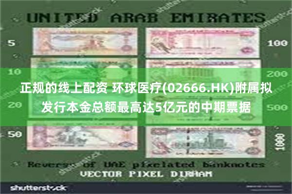 正规的线上配资 环球医疗(02666.HK)附属拟发行本金总额最高达5亿元的中期票据