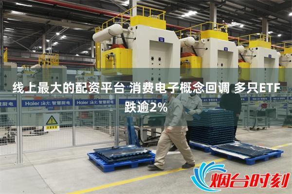 线上最大的配资平台 消费电子概念回调 多只ETF跌逾2%