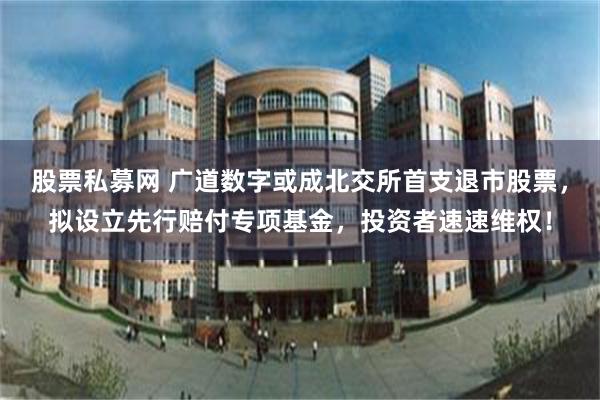 股票私募网 广道数字或成北交所首支退市股票，拟设立先行赔付专