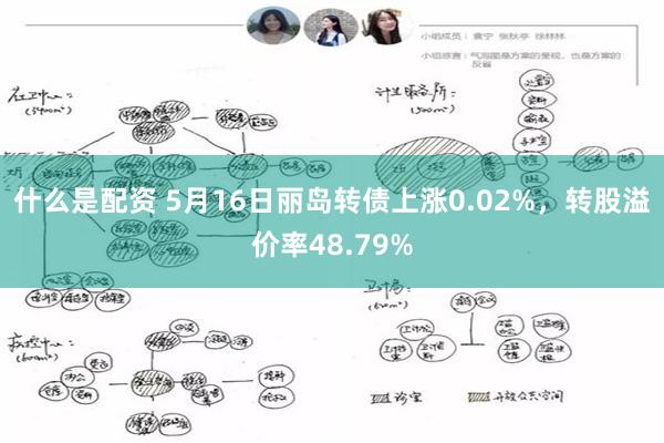 什么是配资 5月16日丽岛转债上涨0.02%，转股溢价率48.79%