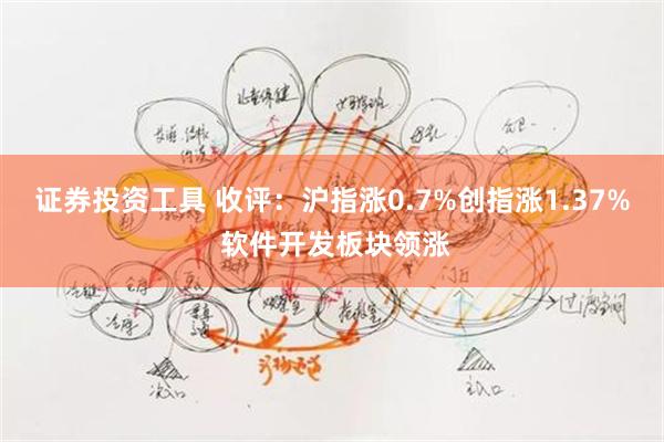 证券投资工具 收评：沪指涨0.7%创指涨1.37% 软件开发板块领涨