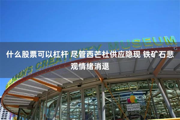 什么股票可以杠杆 尽管西芒杜供应隐现 铁矿石悲观情绪消退