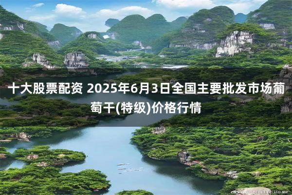 十大股票配资 2025年6月3日全国主要批发市场葡萄干(特级