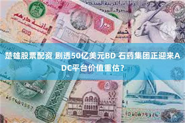 楚雄股票配资 剧透50亿美元BD 石药集团正迎来ADC平台价值重估？