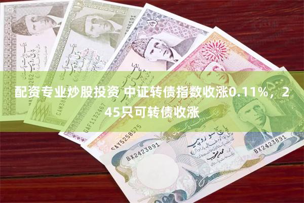 配资专业炒股投资 中证转债指数收涨0.11%，245只可转债