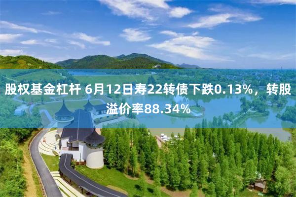 股权基金杠杆 6月12日寿22转债下跌0.13%，转股溢价率88.34%