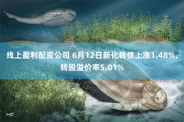 线上盈利配资公司 6月12日新化转债上涨1.48%，转股溢价率5.01%