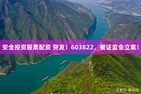 安全投资股票配资 突发！603822，被证监会立案！